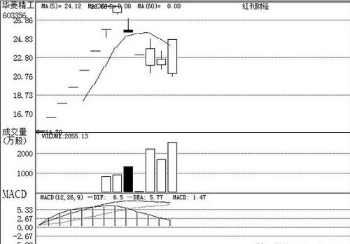 機(jī)構(gòu)關(guān)注個(gè)股之廣州軟件開發(fā) 創(chuàng)新驅(qū)動(dòng)與區(qū)域優(yōu)勢(shì)下的投資機(jī)遇